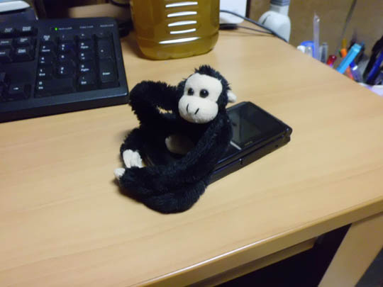 CASIO EX-ZS5で撮影した猿